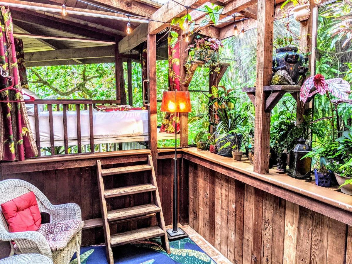 Bed and Breakfast Kehena Mauka Nui Club Lgbtqia+ Clothing Optional Pahoa Camera foto