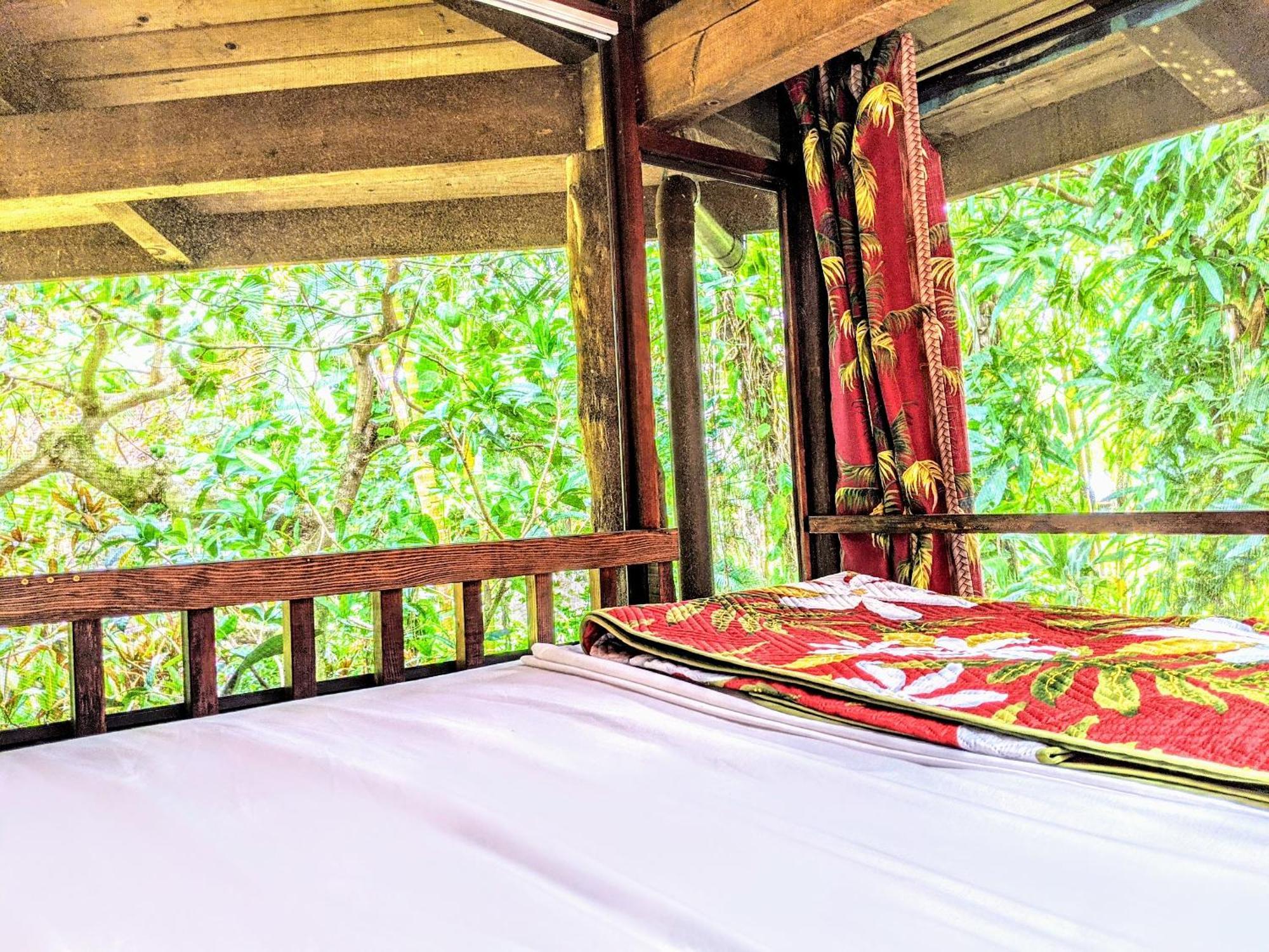 Bed and Breakfast Kehena Mauka Nui Club Lgbtqia+ Clothing Optional Pahoa Camera foto